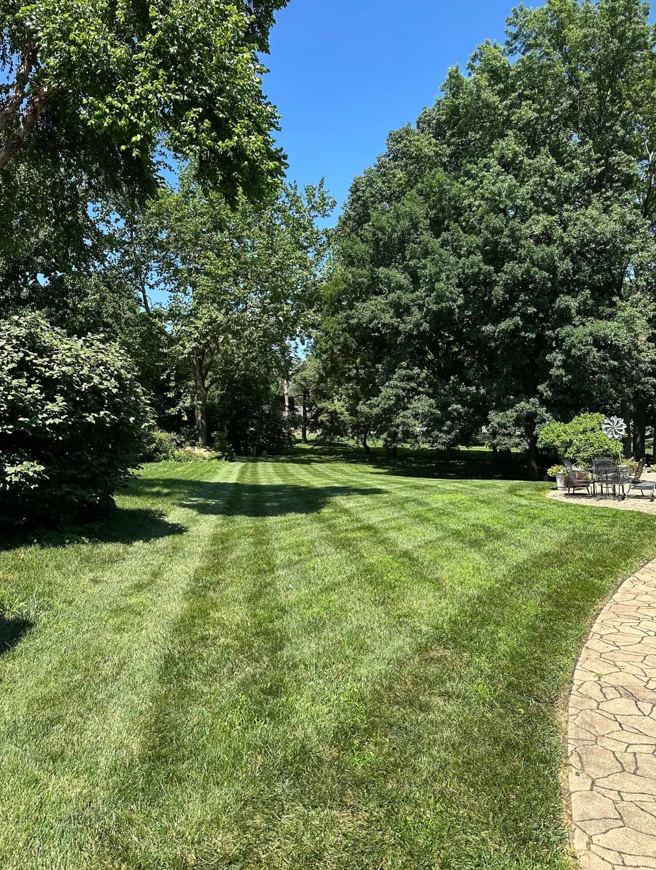 Lawn 11