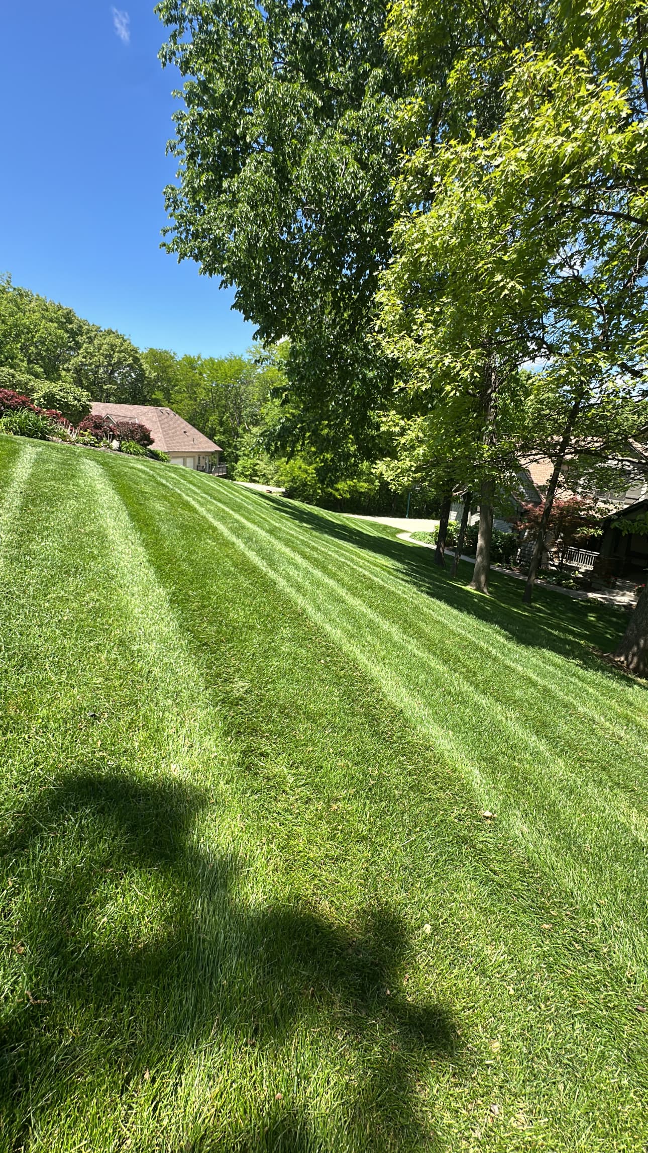 Lawn 5