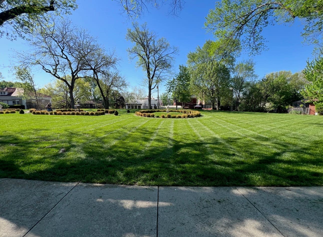 Lawn 7