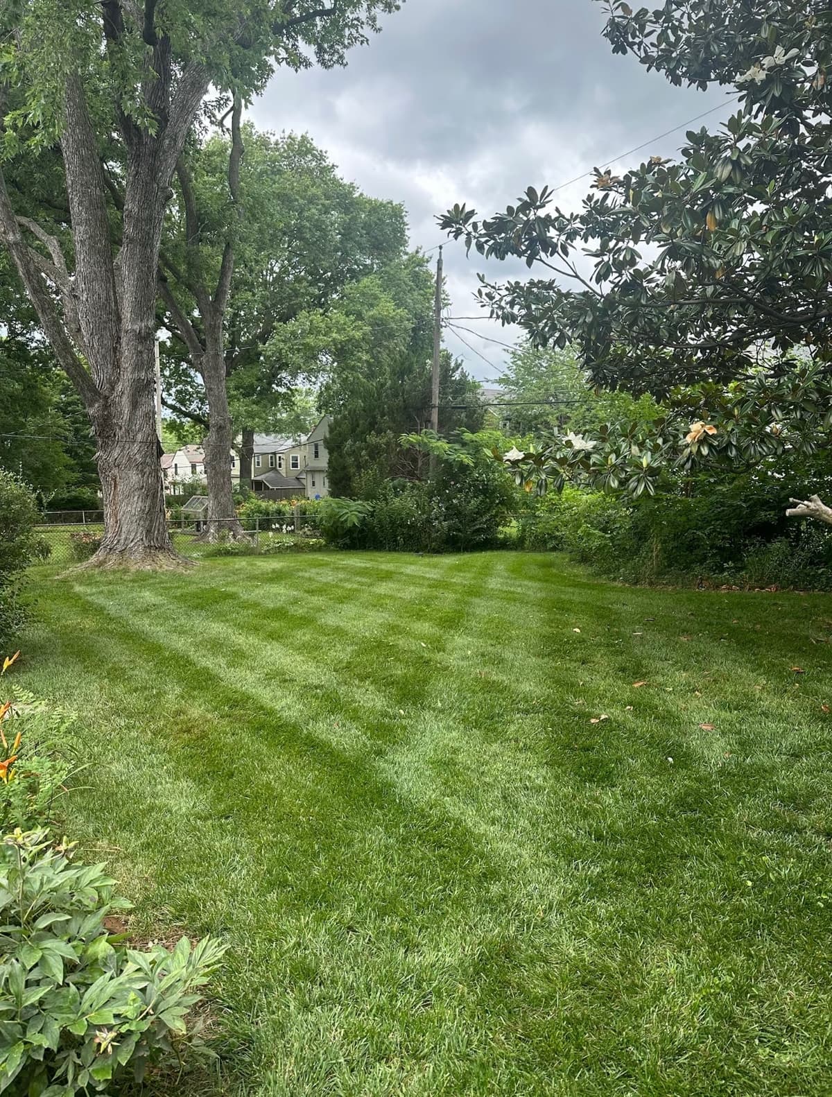 Landscaping Services